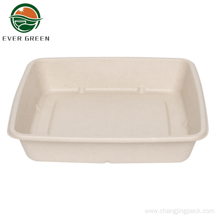 Sugarcane Disposable Bagasse Food Container Food Boxes