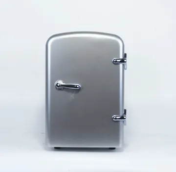 4L 12V Cooler and Warmer Costomize mini fridge
