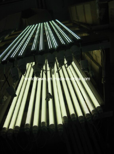 LED T5, T8 Tube Light