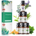 100% Pure Natural Therapeutic Grade Essential Oil Set
