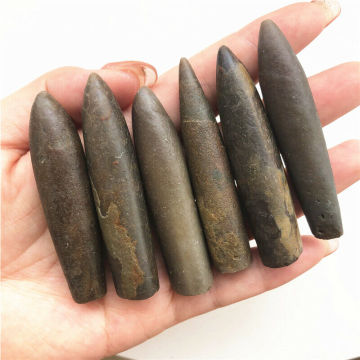 1PC Natural Rare The Arrow Fish Fossil Specimens Original Stone Mineral Healing Natural Stones and Minerals