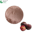 Tasty and Nutritious Plum Fruit Powder Option