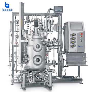 Laboao Mammalian Cell Bioreactors: Cultivating Innovation