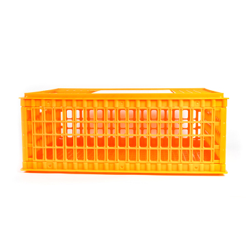 Plastic Poultry Transport Crates: Chicken, Pigeon, Broiler, and Duck Cages