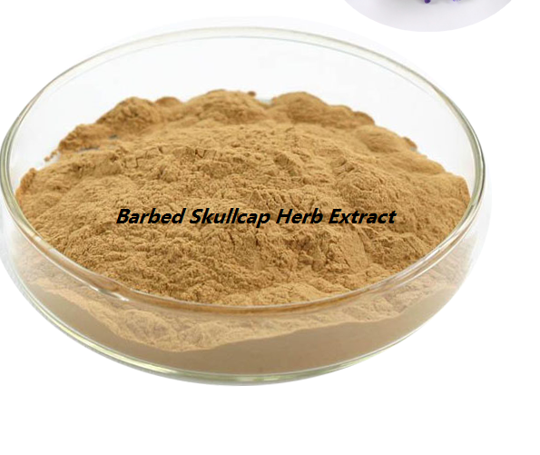 Barbed Skullcap Herb Extract2