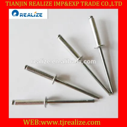 Offer top sale good fasteners Al5050 blind rivet