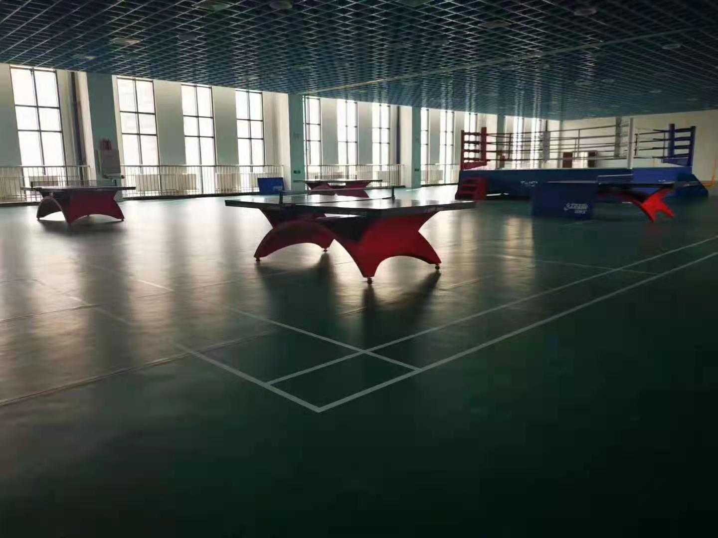 Professional Indoor Competition Ping Pong Table - HONGKANG