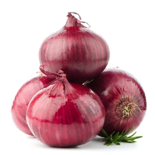 Fresh Red Onions Bulk Packing 20kg Mesh Bag - China Onion, Fresh Onion