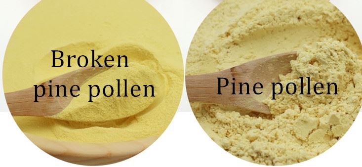 Cracked Cell Wall Pine Pollen Extract