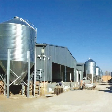 Grain Storage Silos for Poultry Feeding - Various Capacities