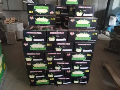 Fresh Gloden Crown Pear