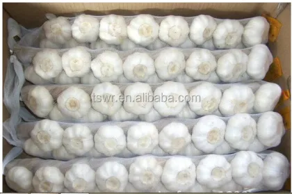 garlic package garlic factory garlic food
