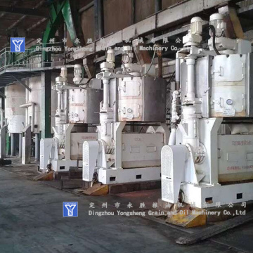 Full Automatic Vegetable Oil Press Equipment