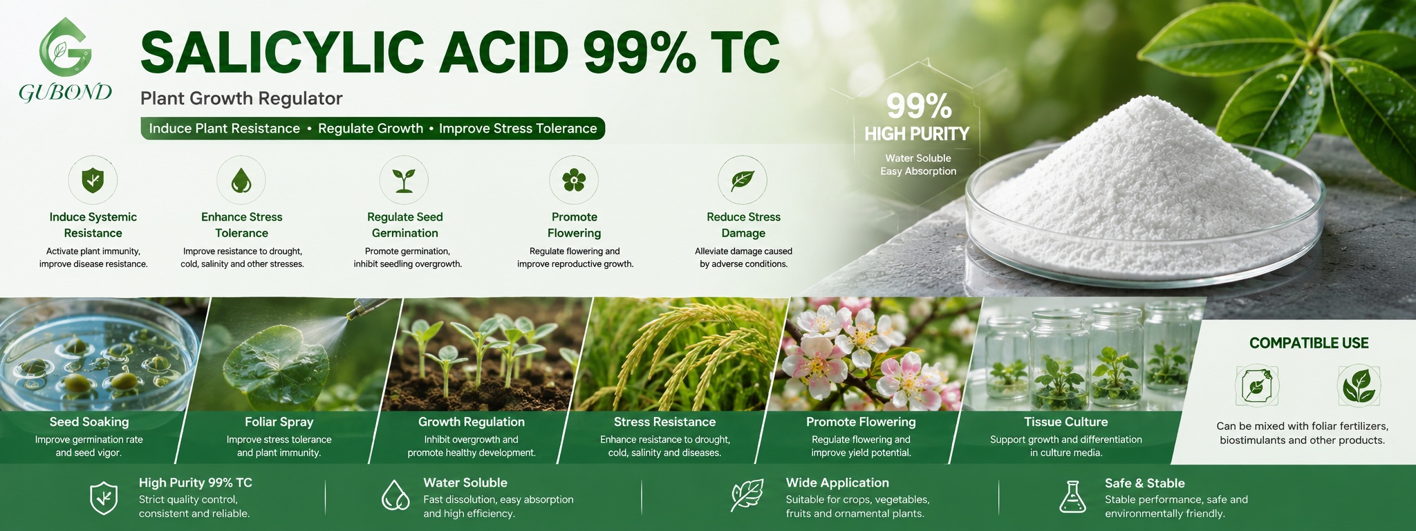 Salicylic Acid 99% TC (2)