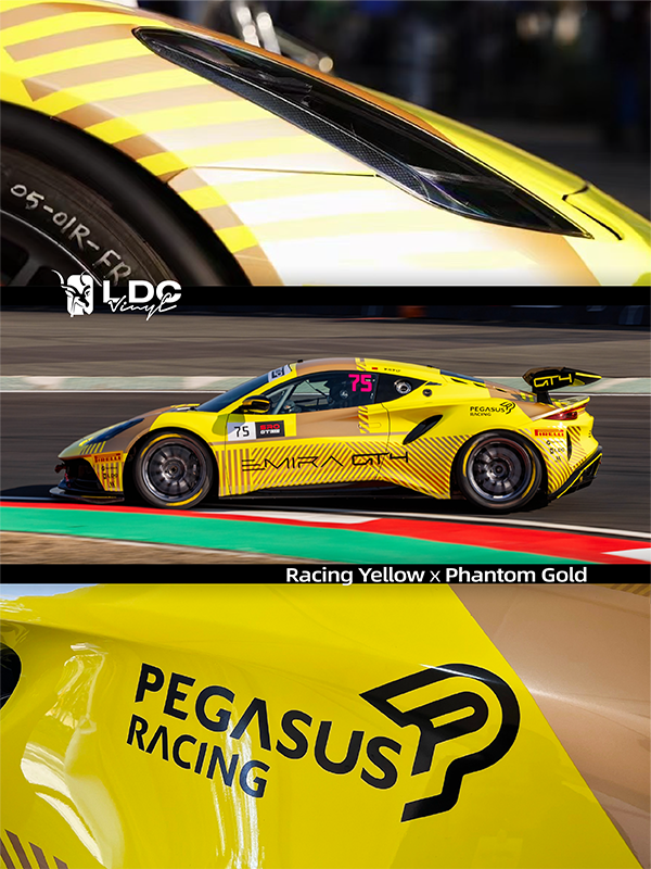 LOTUS07