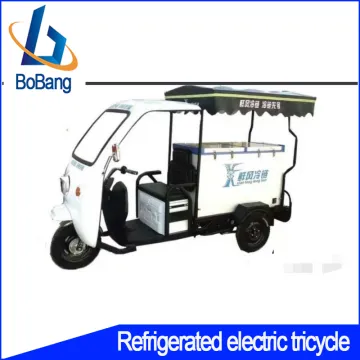 Refrigerated Electric Tricycle - Cooling Transport Solution