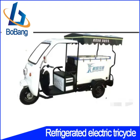 Refrigerated Electric Tricycle - Cooling Transport Solution