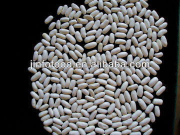 Medium White Kidney Beans