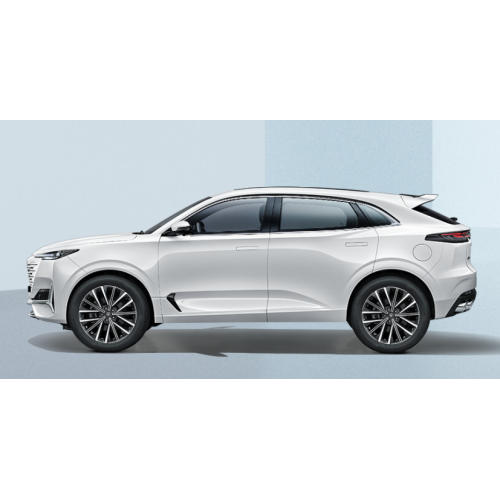 2024 Tangan Unik 2.0T Touring Upgrade