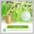 High Quality Natural Camphor powder at bulk price