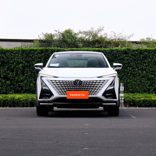 Gasoline 5-seater SUV changan unit