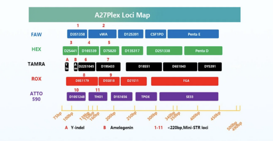 A27plex Str Kit