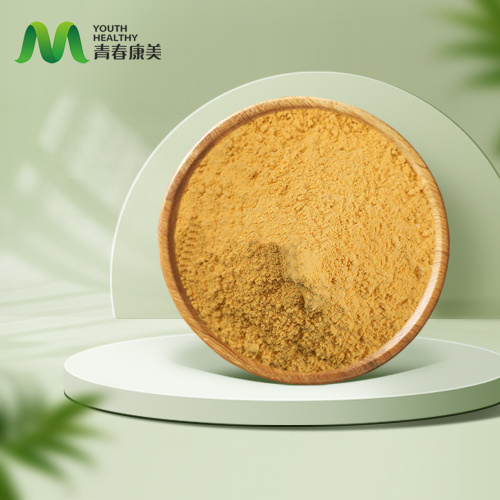 Чисти екстракт Гинкго билоба