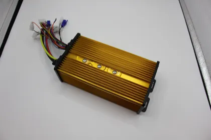 India Cargo & Last-Mile Delivery E-Trike Controller