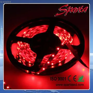 DC 24Volt RGB fexible strip light SMD5050 color christmas decoration
