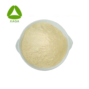 Sophora Japonica Extract 95% Rutin nf11 Powder