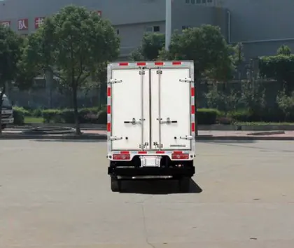 Dongfeng Gasoline/NGBi-Fuel Engine Doule Cabin Van Truck