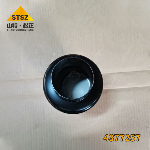 The check valve of the excavator EX2500-6 is 4377257