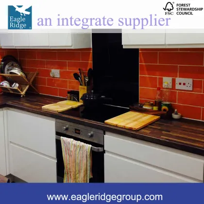 Flat pack kitchen cabinets, Modular Kitchen cabinets, Contemporary Kitchen Cabinets RTA-K1300