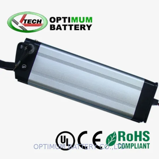 36v 10ah Lifepo4 Electric Bike Lithium Batteries