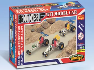 DIY MODEL CAR