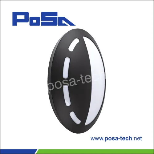 outdoor ip66 led wall light with microwave sensor (PS-ML21L)