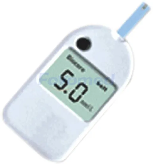 Blood Glucose Monitoring Systems
