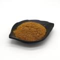 Cilantro Caraway Extract Coriander Seed Extract Powder