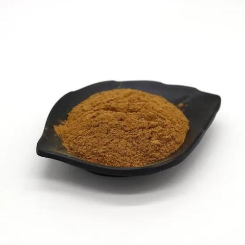 Cilantro Caraway Extract Coriander Seed Extract Powder