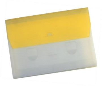 Transparent file bag