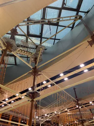 hot selling cheap bungee cord bungee jump