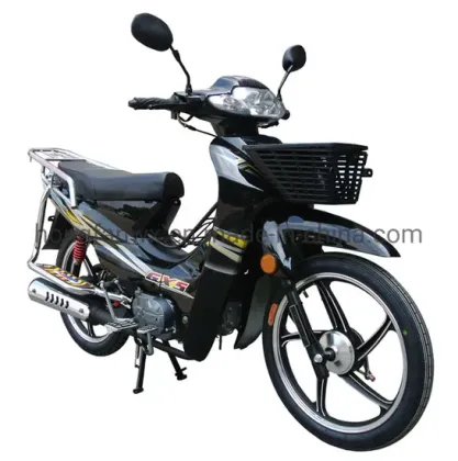 Adult Gas Motorcycles and Moto Scooters