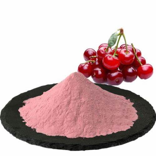 Organic Acerola Cherry Extract Powder