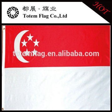 Singapore Nation Flag