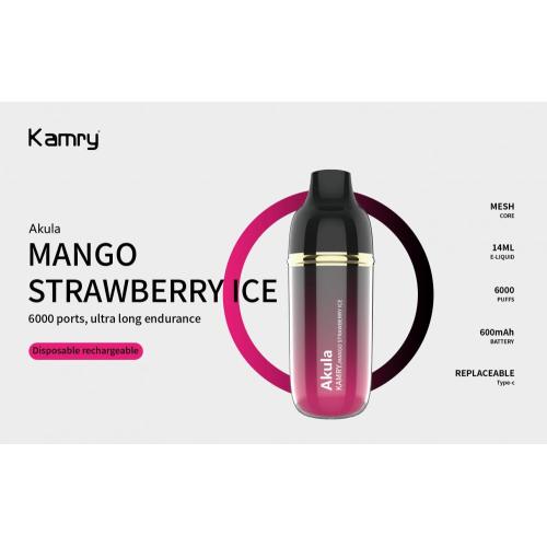 使い捨てのベイプKamry Akula Vape Pod Wholesale 6000