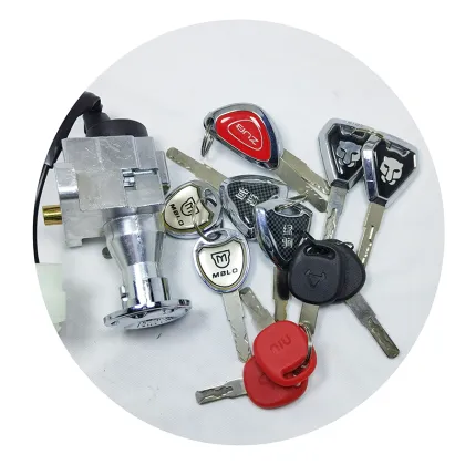 Factory Direct High-Quality 2-Wire 2-Position Electric Motorcycle Ignition Switch for Yadea