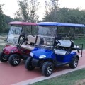 6 seater gasoline power golf cart