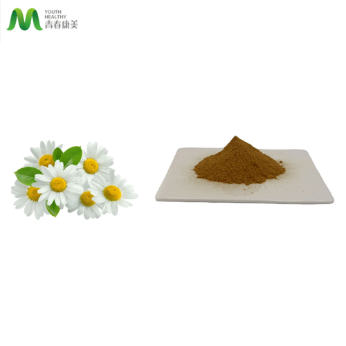 Chamomile Extract Powder Dry Natural Chamomile Extract Powder Manufactory