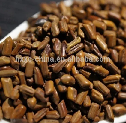 High Quality Dry Herb Cassia Seed Ketsumeishi Jue Ming Zi