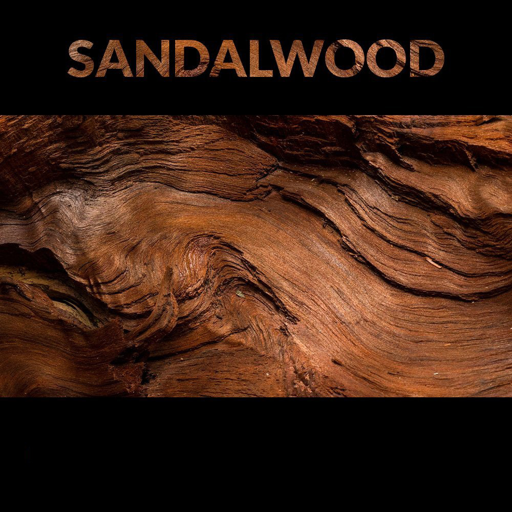 sandalwood3